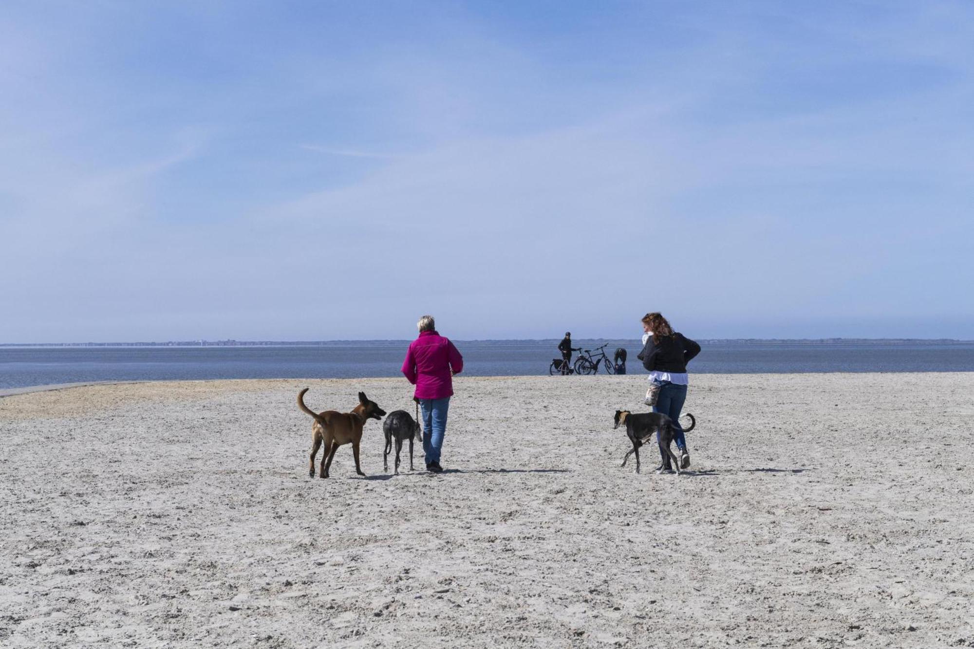 Pfoetchenparadies II Geestland Exteriör bild